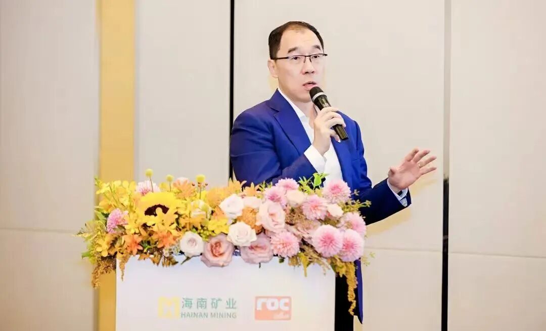 Hainan Mining Chairman Teng Lei: Leverage FTP Policies to Unblock Cross-Border Capital Chains and Build the 