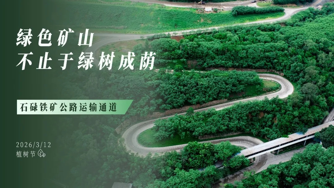 植树节 | 绿色矿山，不止于绿树成荫